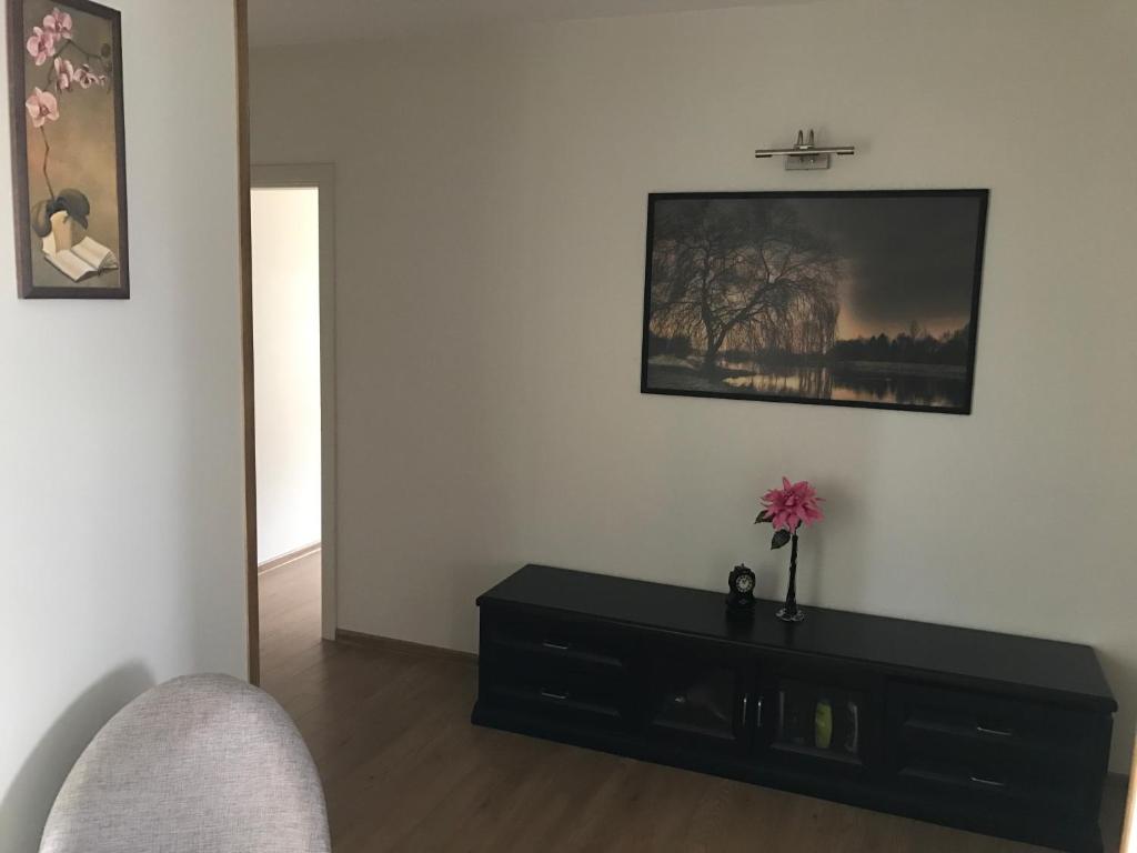 Pilaites svetingi namai room 3