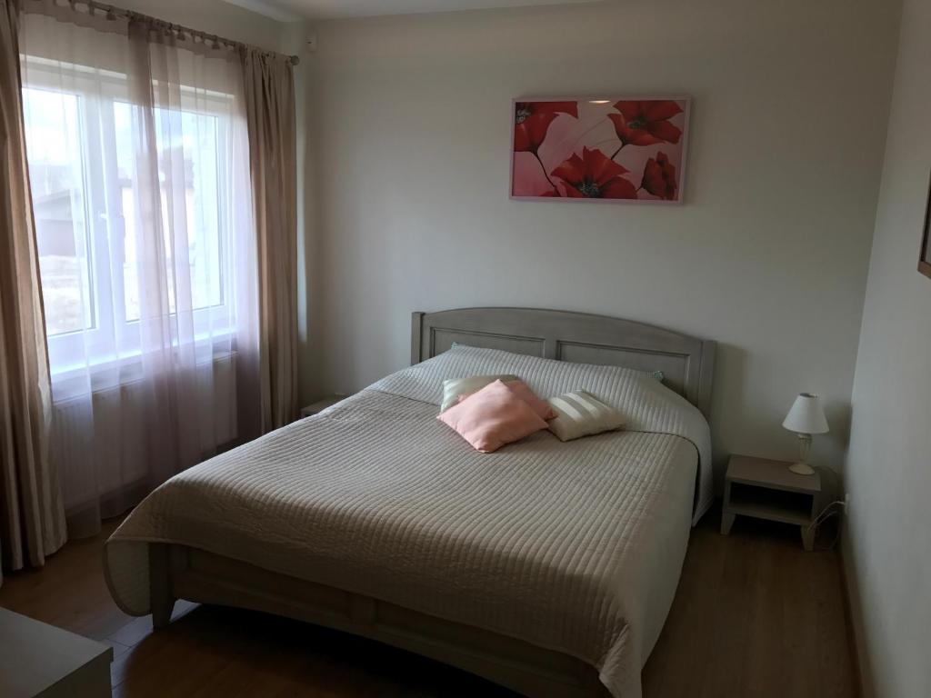 Pilaites svetingi namai room 6